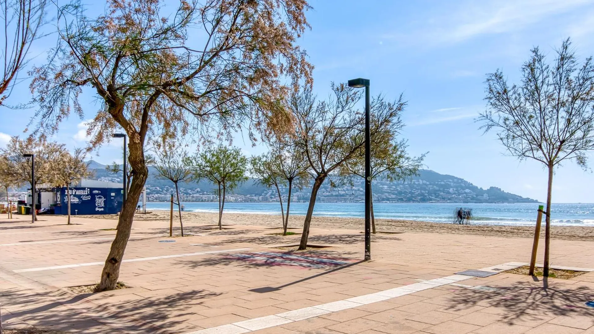 Punta Pelegri 318 Roses - Immo Barneda Apartment Spain